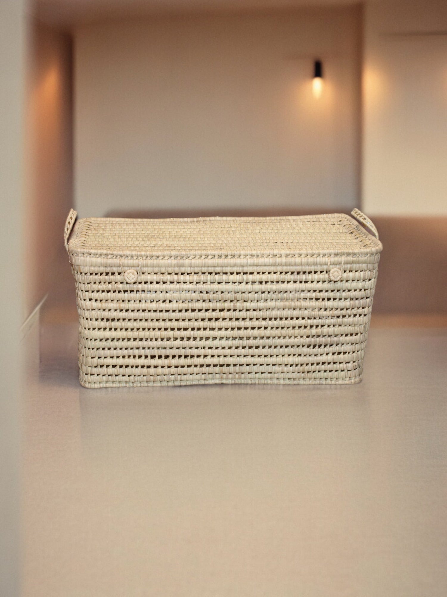 Malle palmier XL