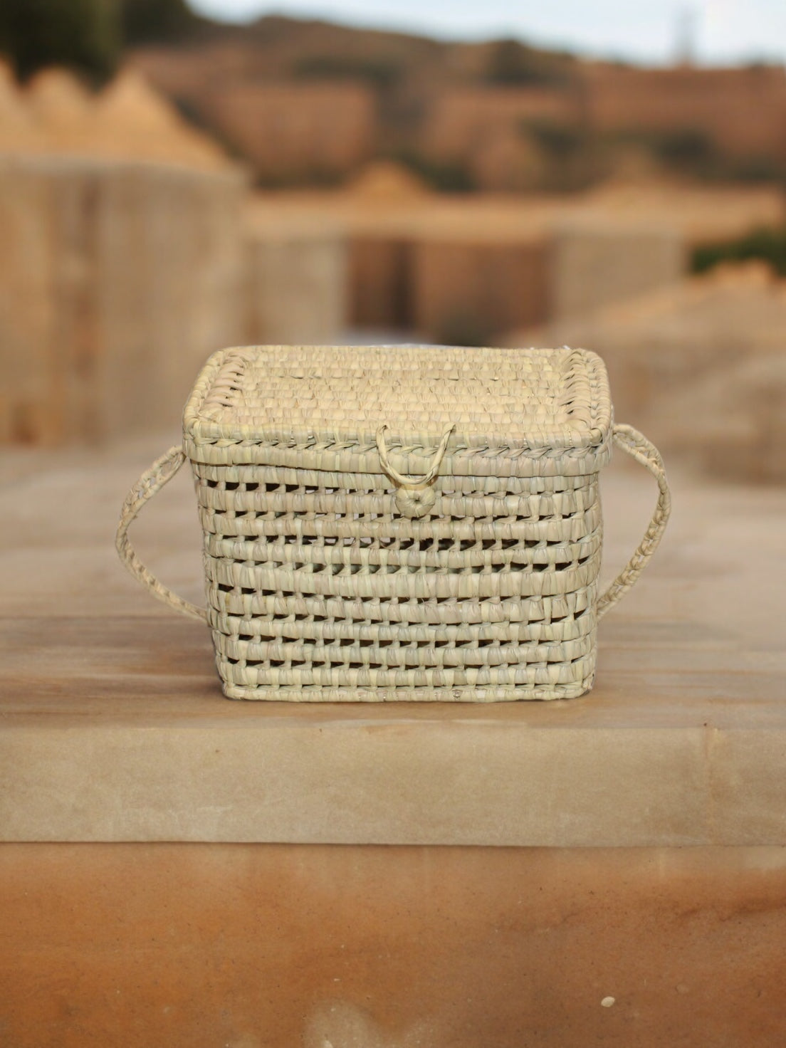Malle palmier S
