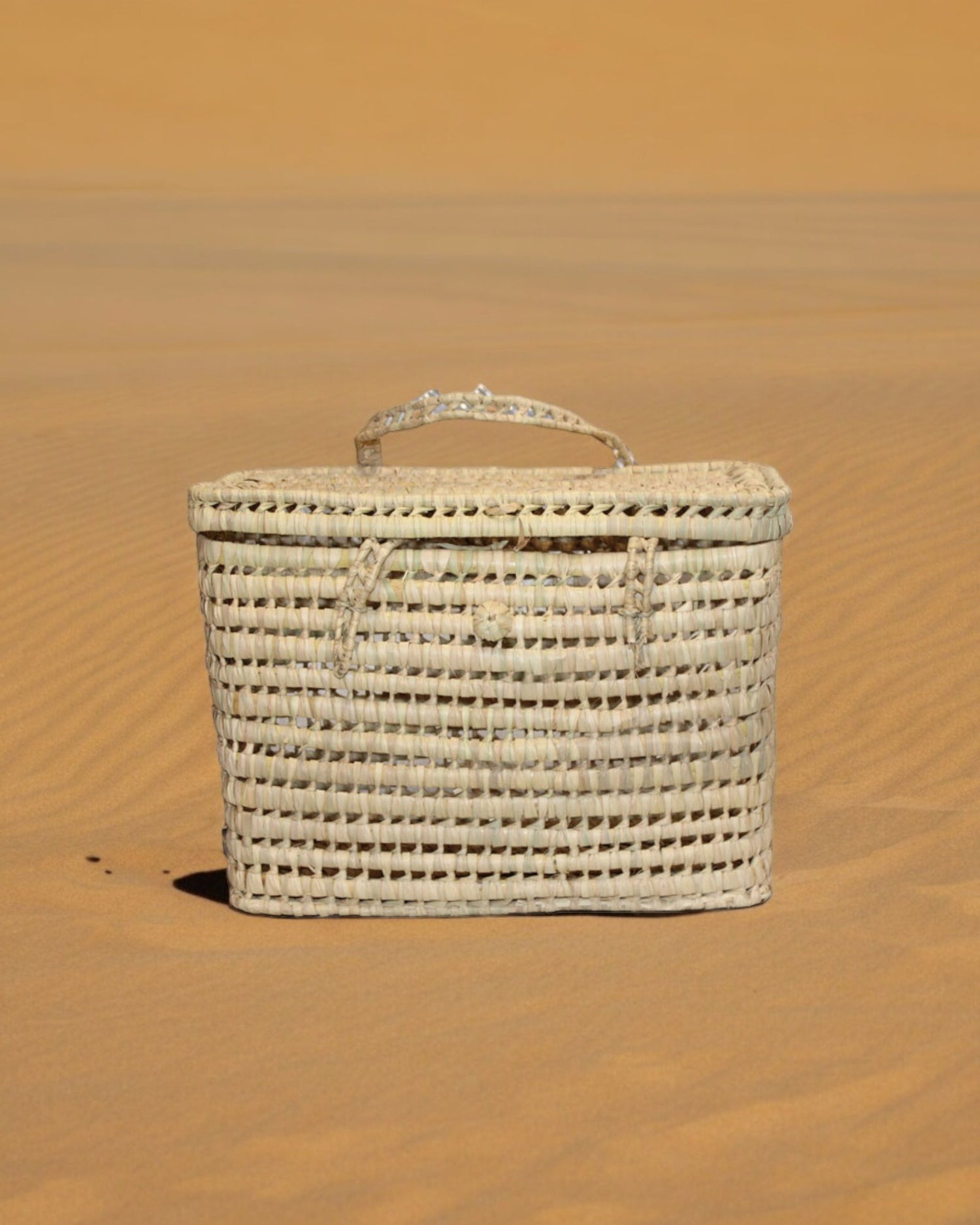 Malle palmier M